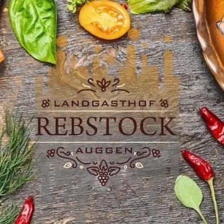 Penzion Landgasthof Rebstock *